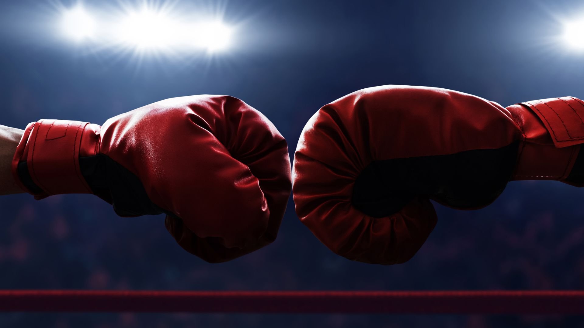 Red punching gloves, Article name: 7 Reasons Everyone Loves to Hate Attribution