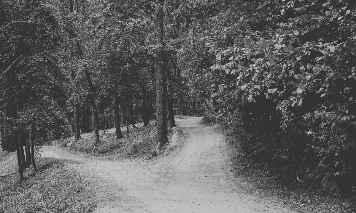 Diverging paths bizible alternatives
