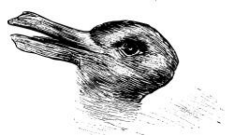 First vs. Second-Order Markov Chain Models and When Each Should Be Used